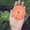 kbaljit001